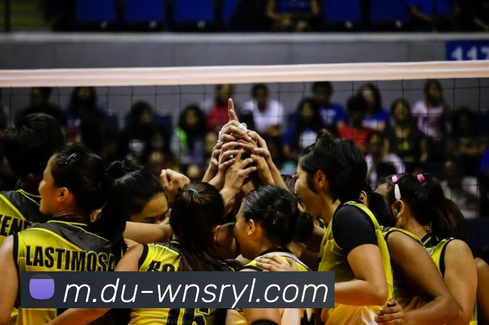 威尼斯人官网品牌故事